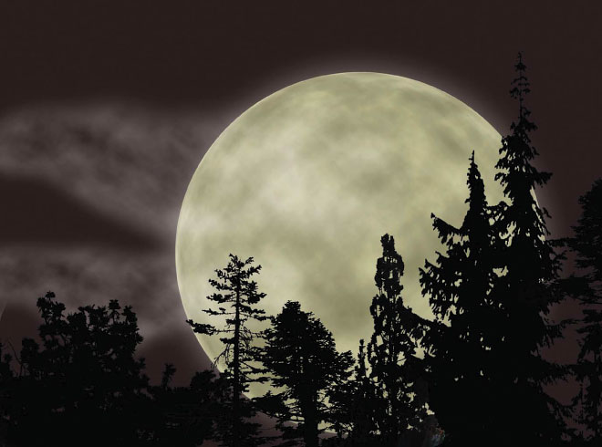 Самая сильная луна. Большая Луна. Картина большая Луна. Тайны ночи. Большая Луна около леса.